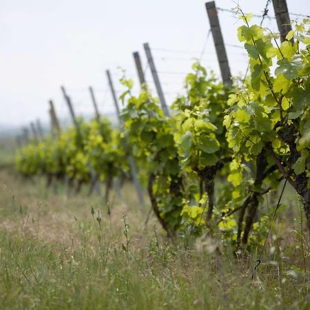 Hotel Weingut Schilling Seinsheim Zewnętrze zdjęcie