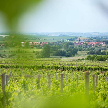 Hotel Weingut Schilling Seinsheim Zewnętrze zdjęcie