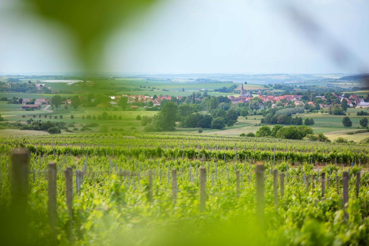 Hotel Weingut Schilling Seinsheim Zewnętrze zdjęcie